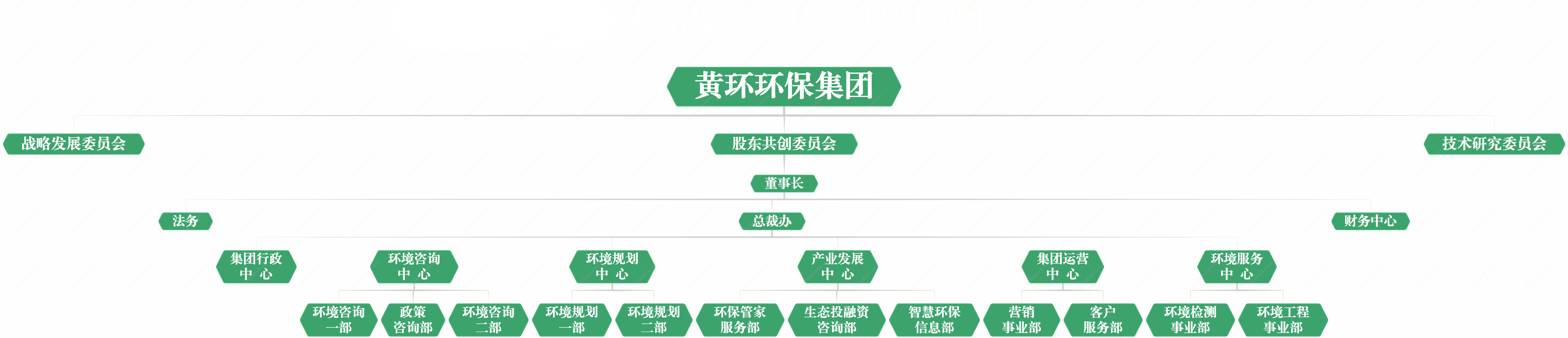 集团架构总图2024年.jpg